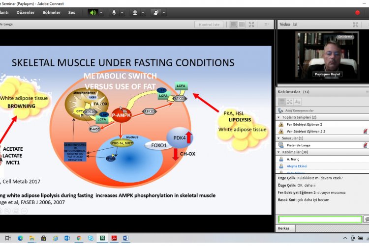 “Factors involved in the beneficial effects on fasting on exercise, animal and human studies”