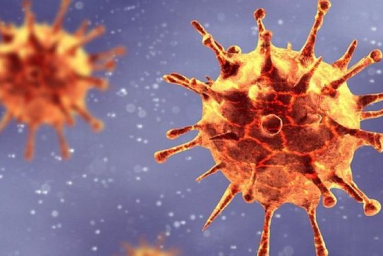 “Yeni Koronavirüs Varyantları Daha Bulaşıcı”