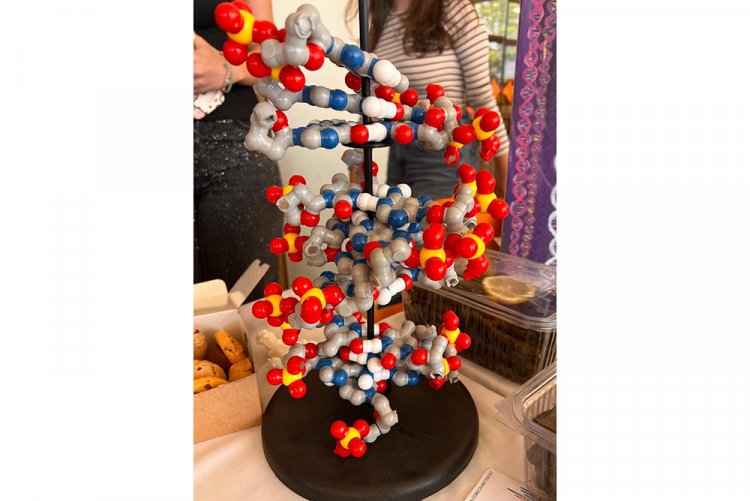 DNA Günü